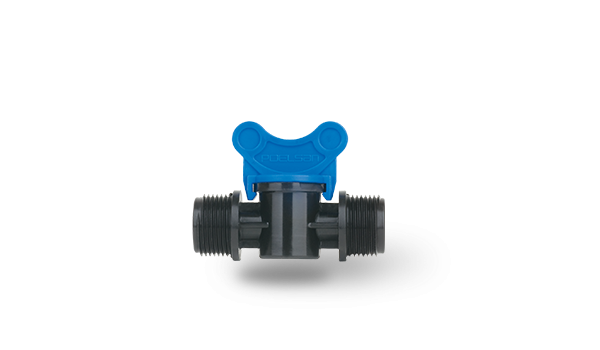 Mini Vana Erkek