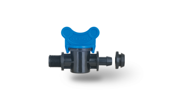 Mini Vana Erkek – Grommet